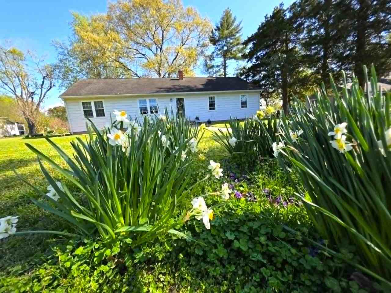 104 Lee Dr #1 - Photo 4 of 50