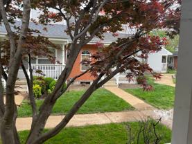 3125 Park Hampton Ct - Photo 1 of 1