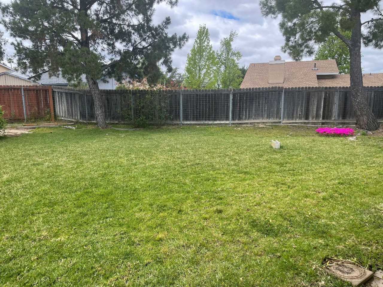 42201 Cosmic Dr - Photo 4 of 11