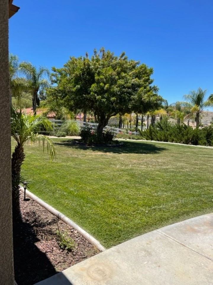 32949 Avenida Lestonnac - Photo 6 of 43