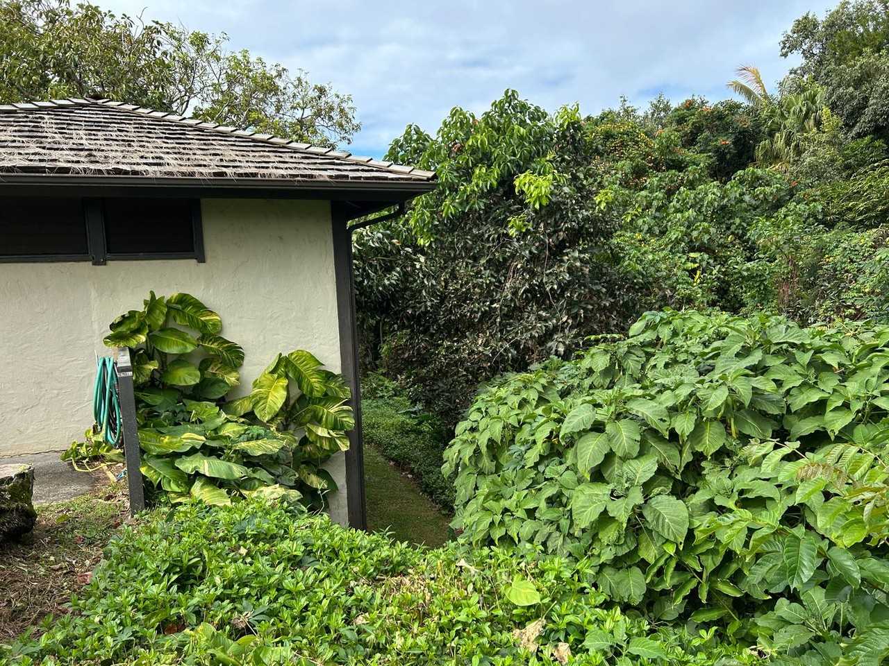 3890 Kamehameha Rd #9 - Photo 4 of 14