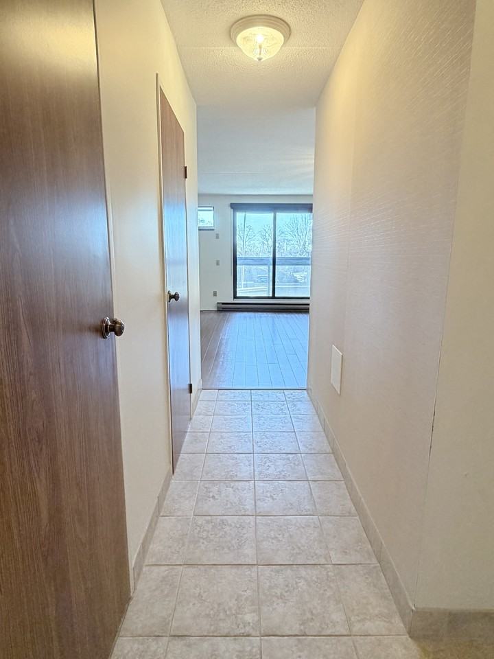 1653 Ouellette Ave #205 - Photo 4 of 12