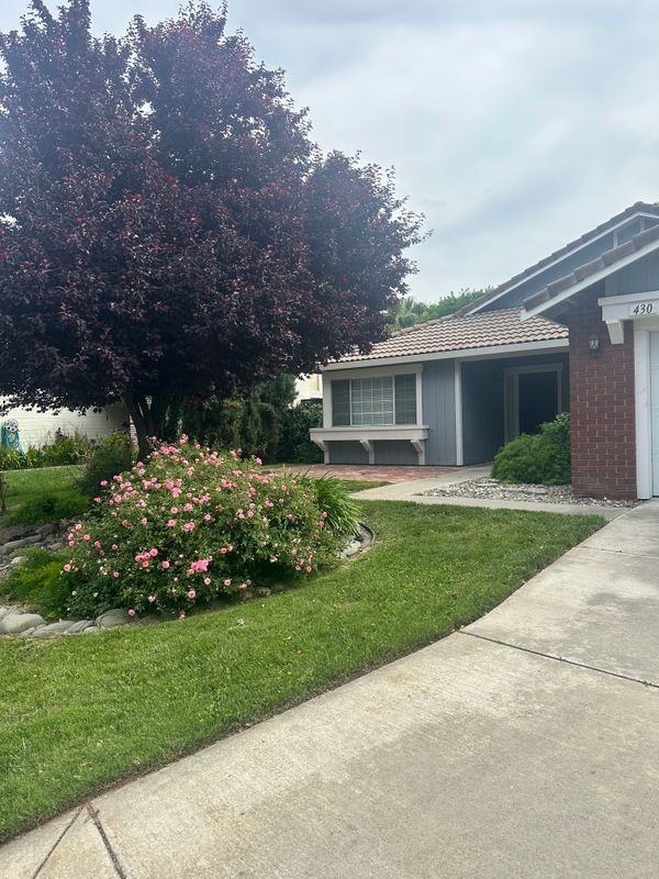 430 Silvertail Pl - Photo 2 of 26