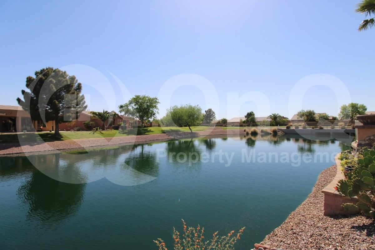 42599 W Candyland Pl - Photo 3 of 24