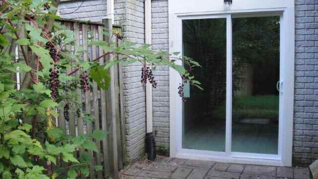 13671 Cedar Creek Ln #1 - Photo 5 of 40