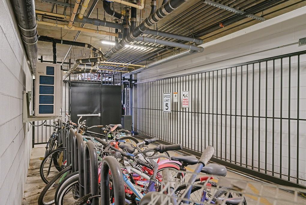 Avery - Photo 6 of 37