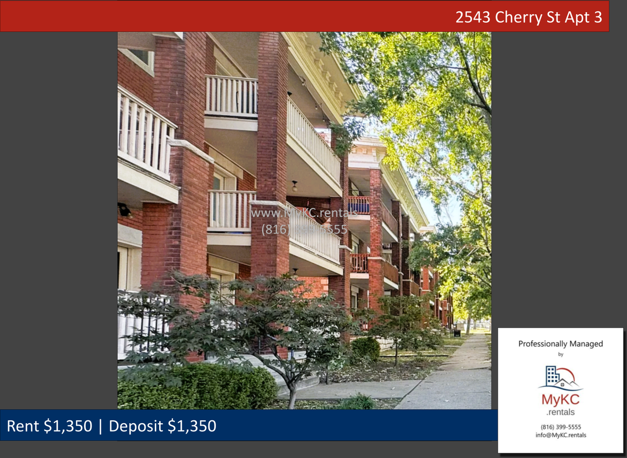 2543 Cherry St Apt 3 - Photo 2 of 18