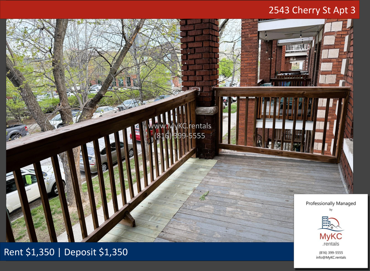 2543 Cherry St Apt 3 - Photo 4 of 18