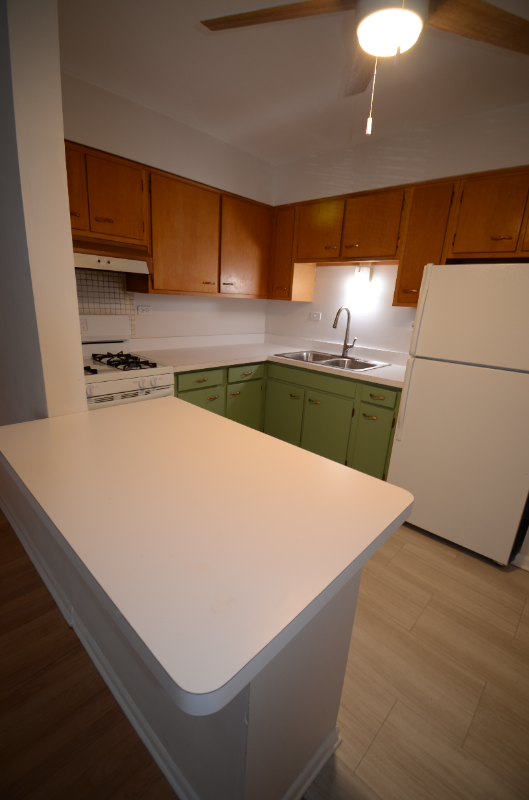 1603 Waukegan Rd #1 - Photo 2 of 12