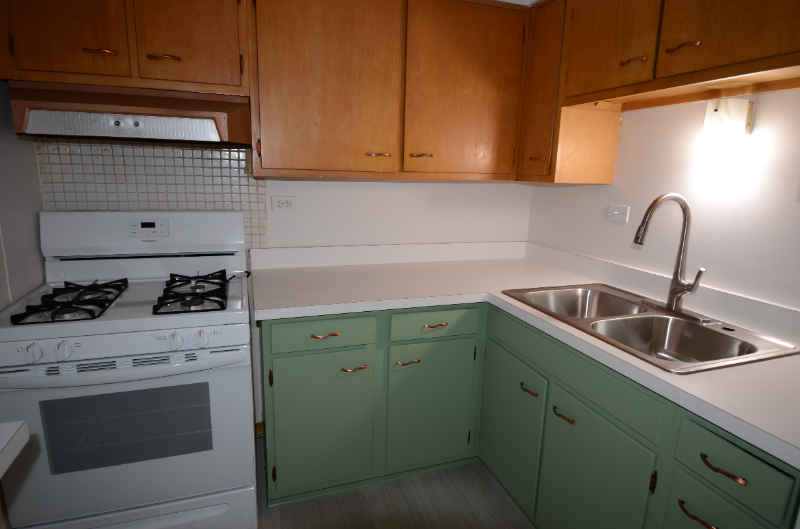 1603 Waukegan Rd #1 - Photo 3 of 12