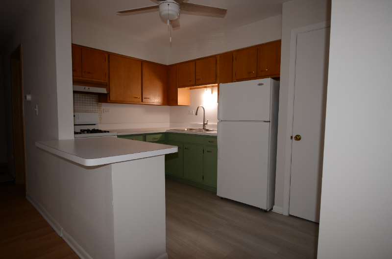 1603 Waukegan Rd #1 - Photo 4 of 12