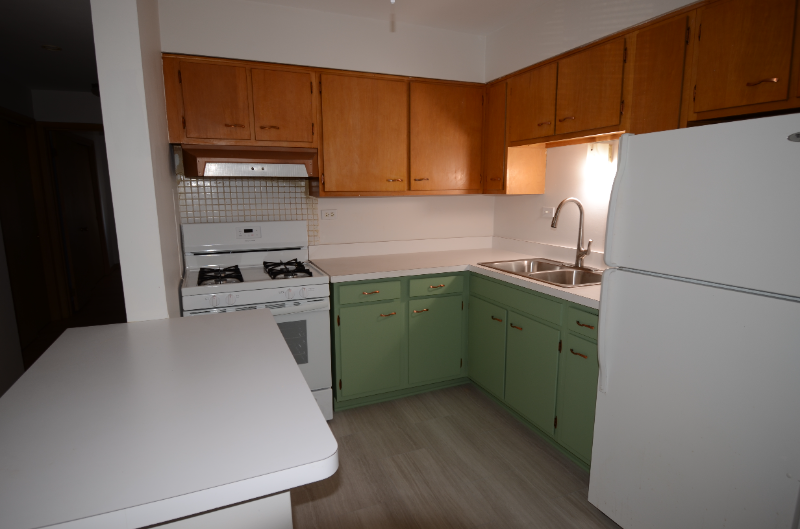 1603 Waukegan Rd #1 - Photo 5 of 12