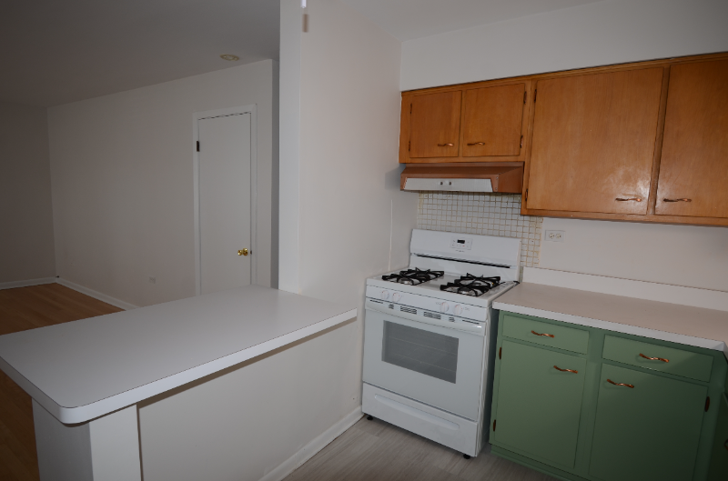 1603 Waukegan Rd #1 - Photo 6 of 12