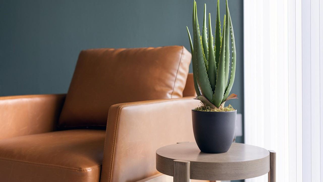 201 Munson Street - Photo 7 of 50