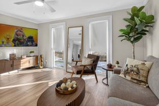 38 Hamilton St - Photo 1 of 1