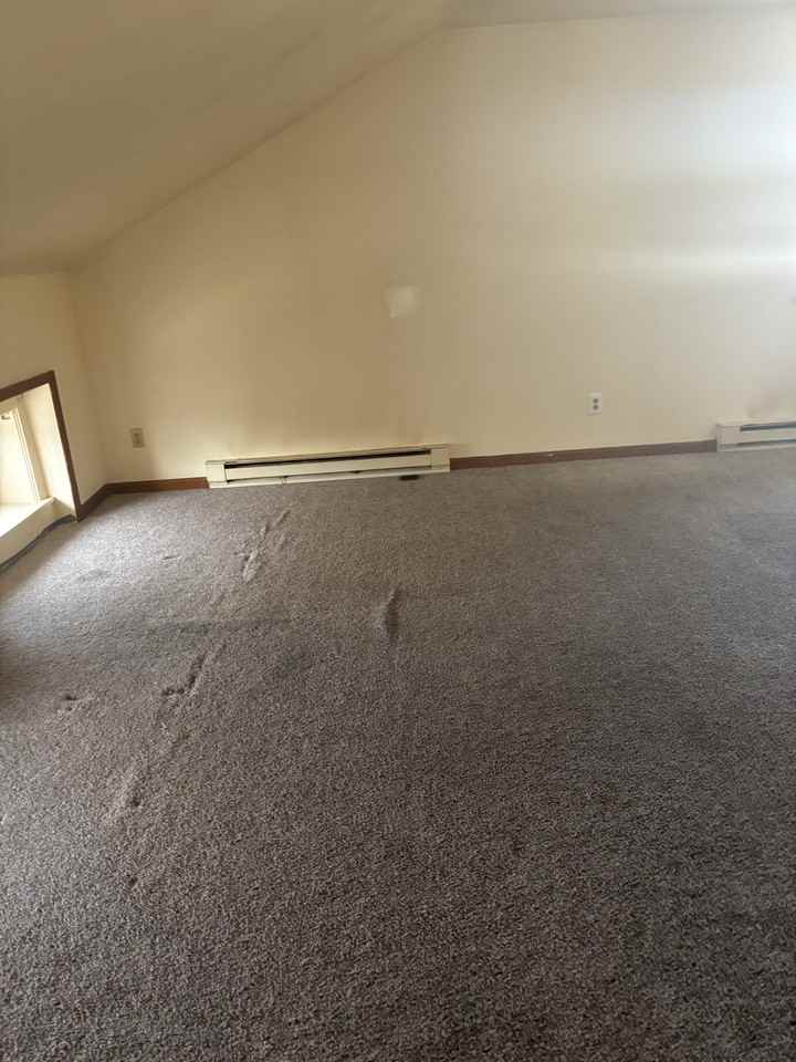 404 Union St #7 - Photo 7 of 12
