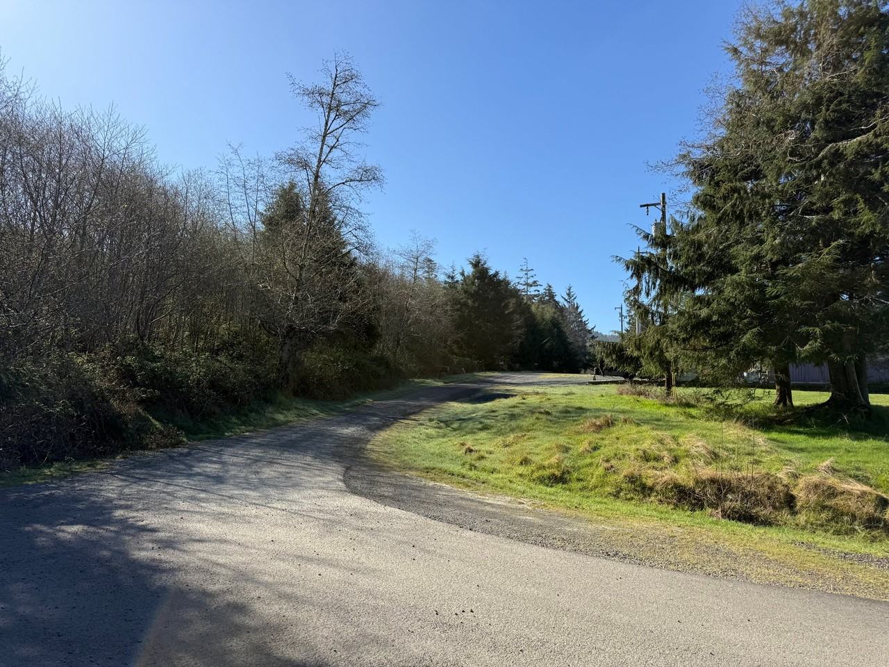 1601 N 4th Ave - Photo 5 of 20