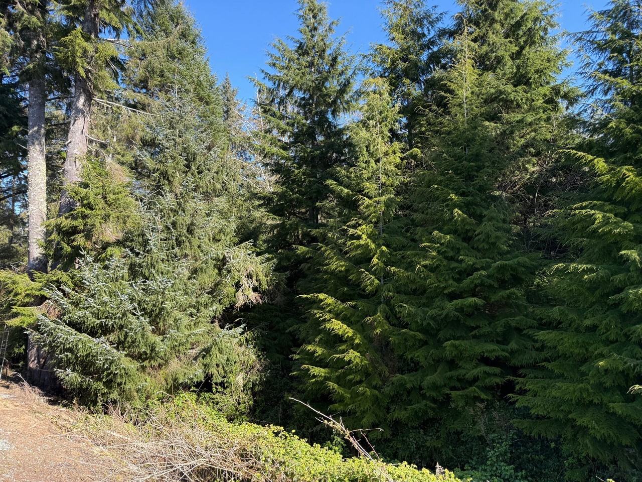 1601 N 4th Ave - Photo 6 of 20