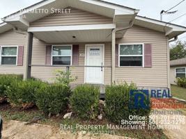 featured image of 244 Palmetto St