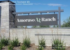 1185 Silver Feather Way - Photo 1 of 1