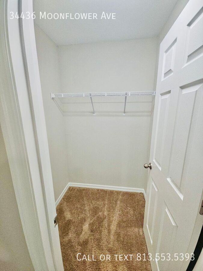 34436 Moonflower Ave - Photo 6 of 50