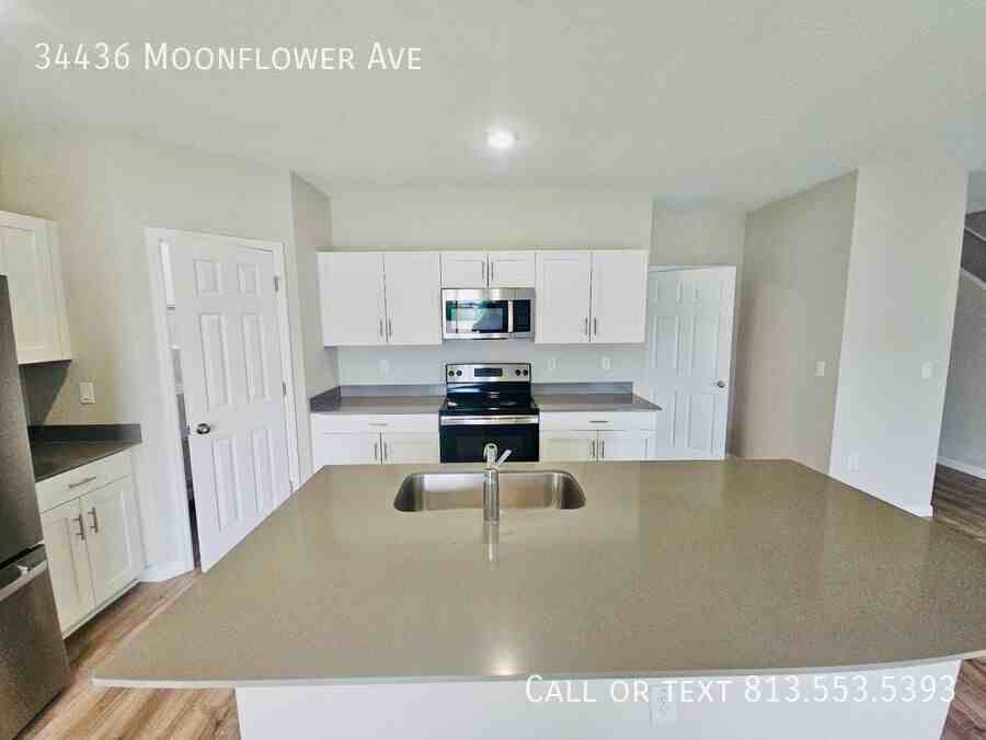 34436 Moonflower Ave - Photo 4 of 39