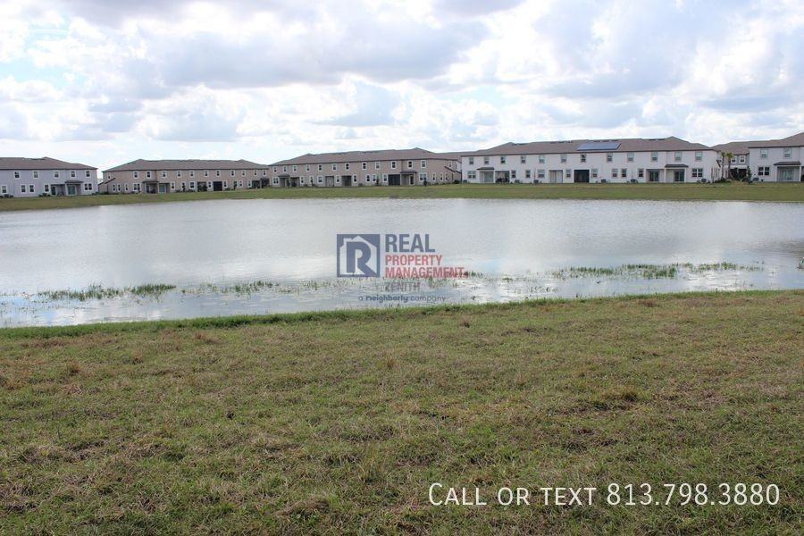 32146 Powderpuff Mimosa Dr - Photo 3 of 43