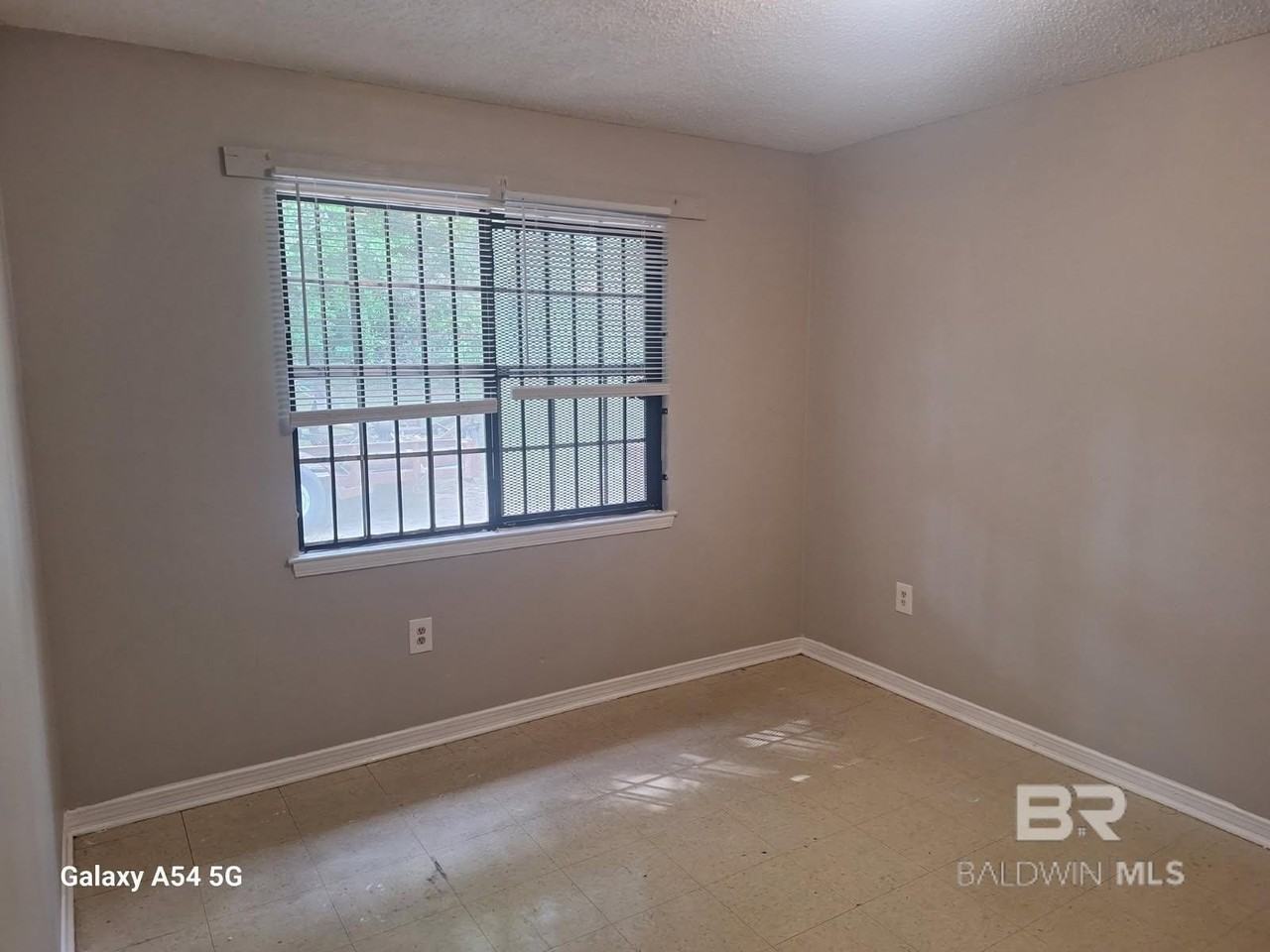 2207 Wolf Ridge Rd #B - Photo 4 of 5