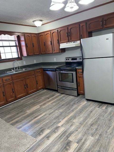 1613 Hartsville Pike - Photo 3 of 16