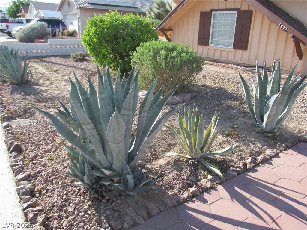 3812 La Pasada Ave - Photo 3 of 38