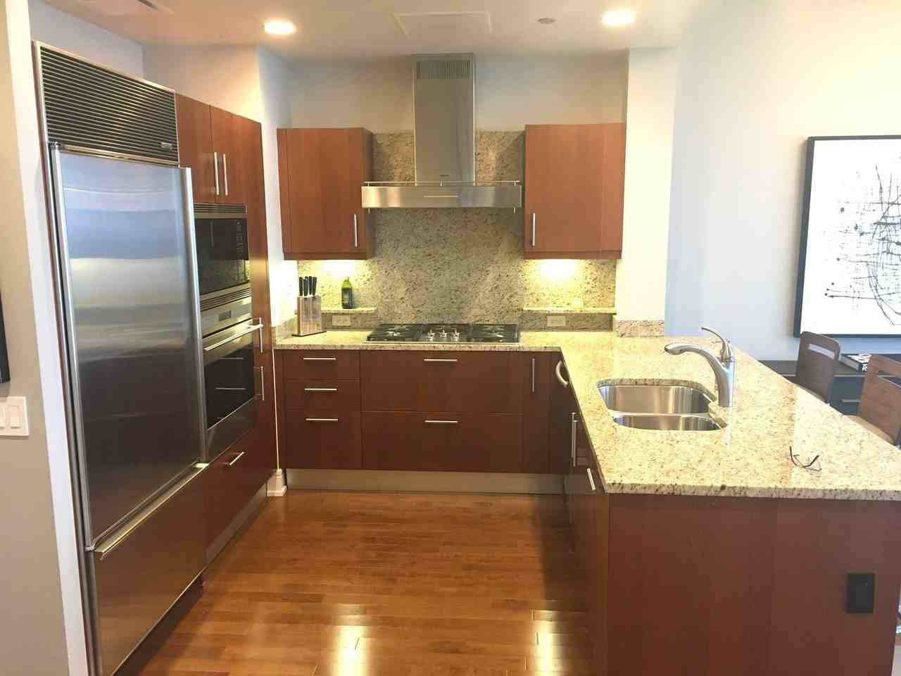 401 N Wabash Ave Unit 58b - Photo 6 of 17