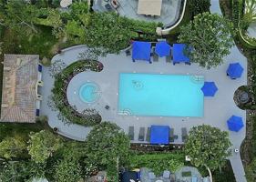 featured image of 7 Lyon