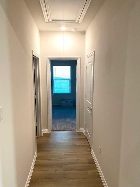 1902 Canyon Ln - Photo 4 of 25