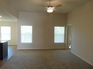 4244 Texas Sage Dr - Photo 4 of 16