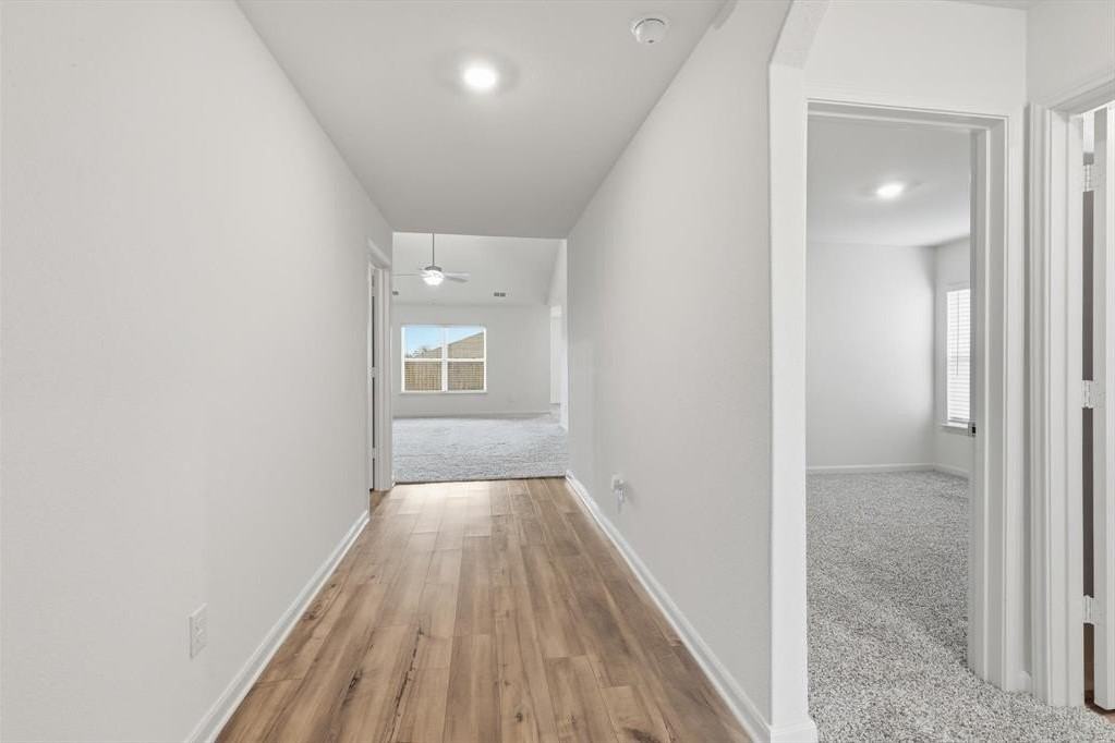 13709 Roosevelt Arch Dr - Photo 4 of 39