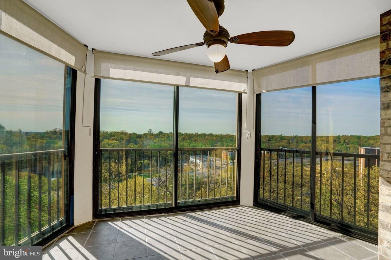 5904 Mount Eagle Dr Apt 812 - Photo 6 of 50