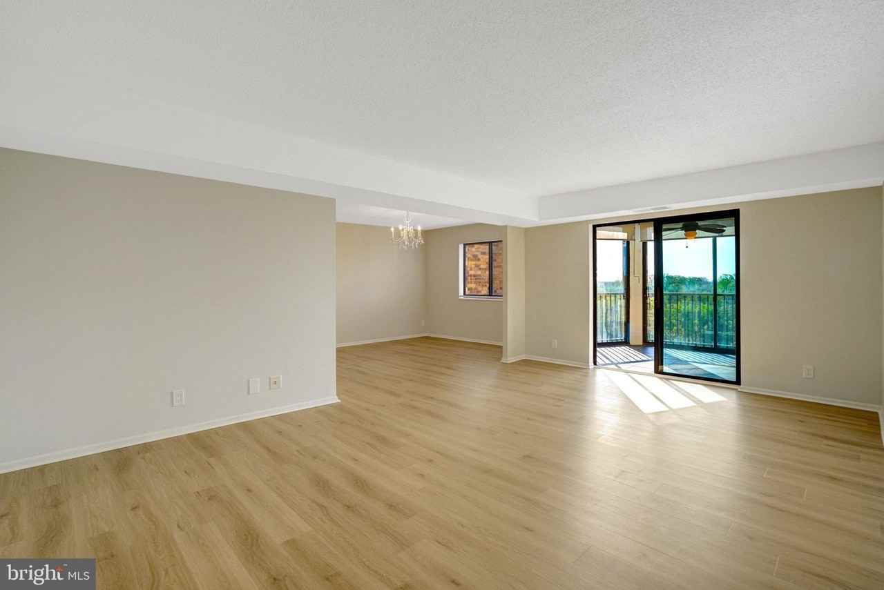 5904 Mount Eagle Dr Apt 812 - Photo 4 of 50