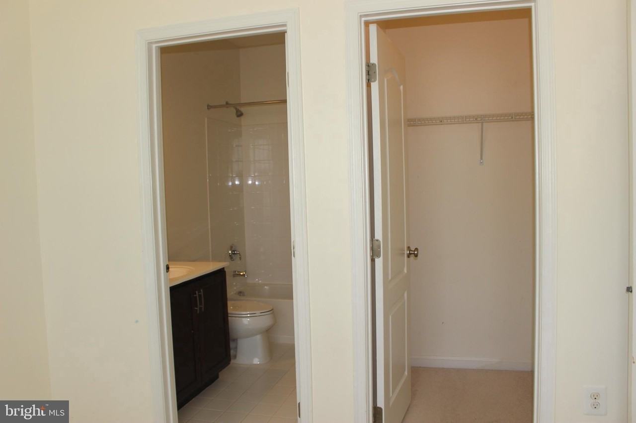 23261 Carters Meadow Ter - Photo 7 of 34