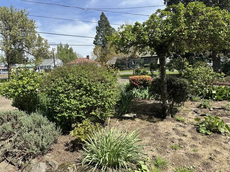 795 E College St - Photo 3 of 12