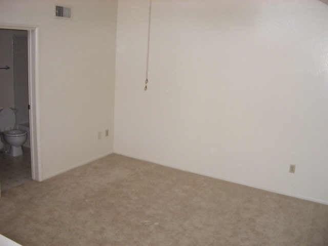 4901 S Calle Los Cerros Dr #263 - Photo 6 of 8