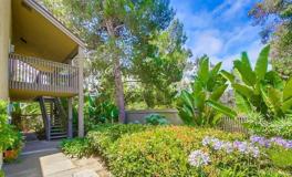 3136 Via Alicante - Photo 1 of 1