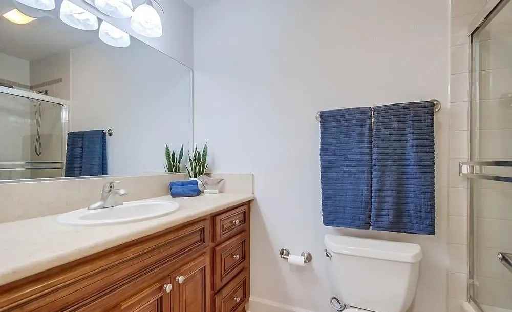 3136 Via Alicante - Photo 5 of 11