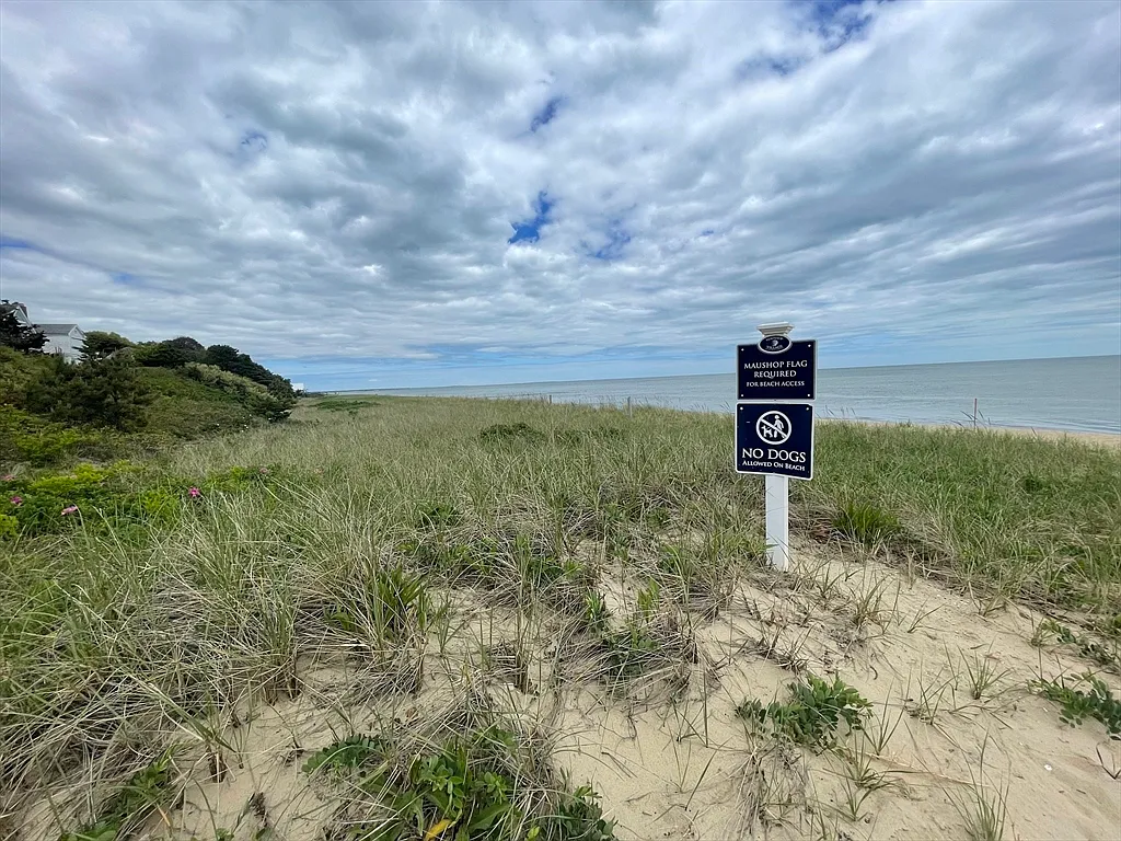 17 Hydrangea Ln - Photo 4 of 19