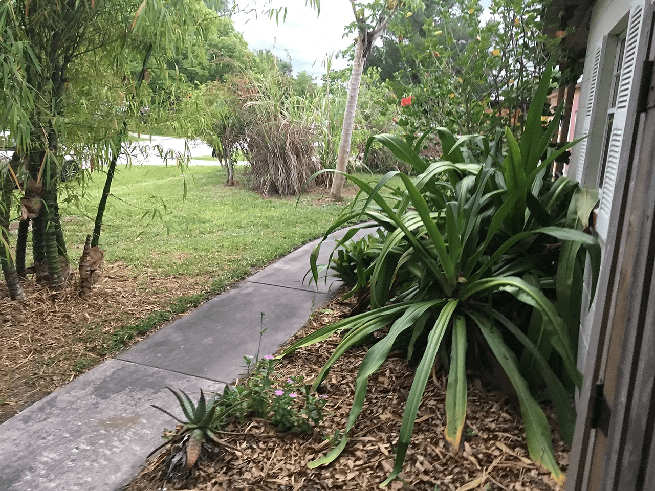 2810 Geoffrey Dr #NA - Photo 2 of 14