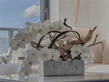 2960 Northeast 207th Street #1104 - Photo 1 of 1