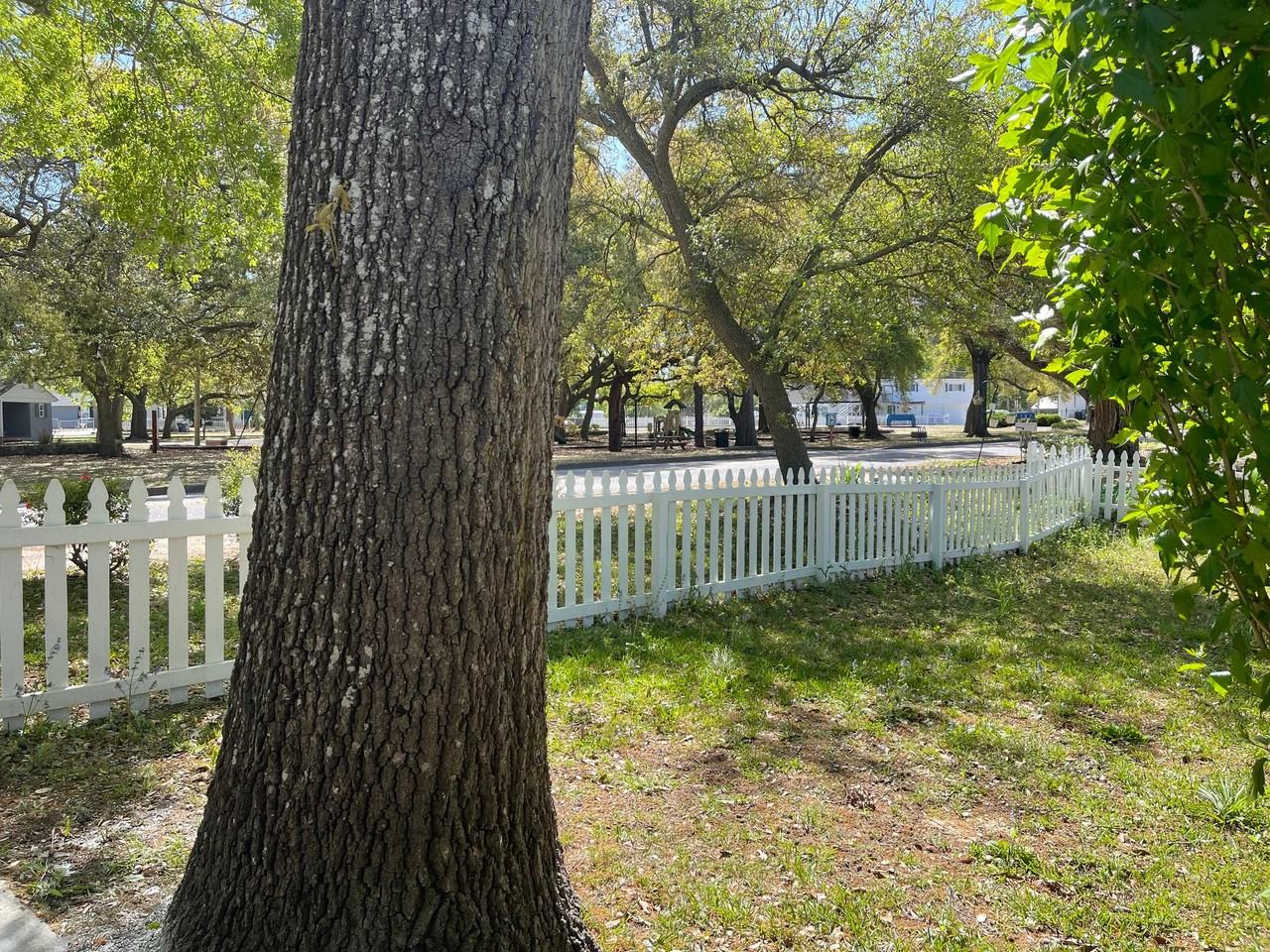 709 Collins St - Photo 7 of 34