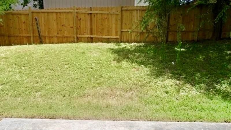 7422 Radford Trl - Photo 4 of 13