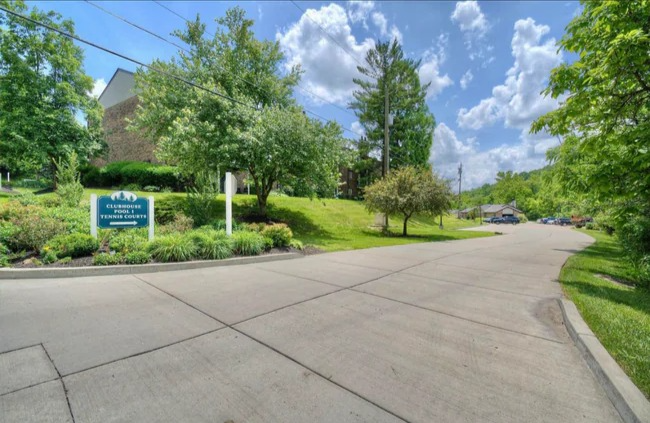 66 View Terrace Dr #9 - Photo 3 of 14