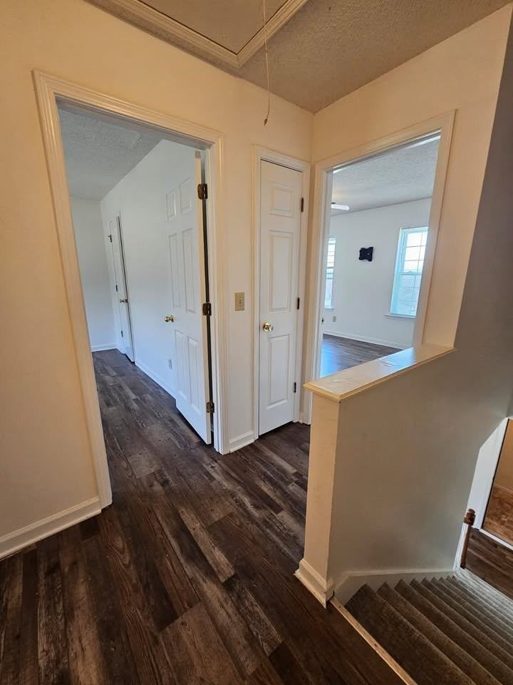 1528 Richmond Rd #A - Photo 5 of 20