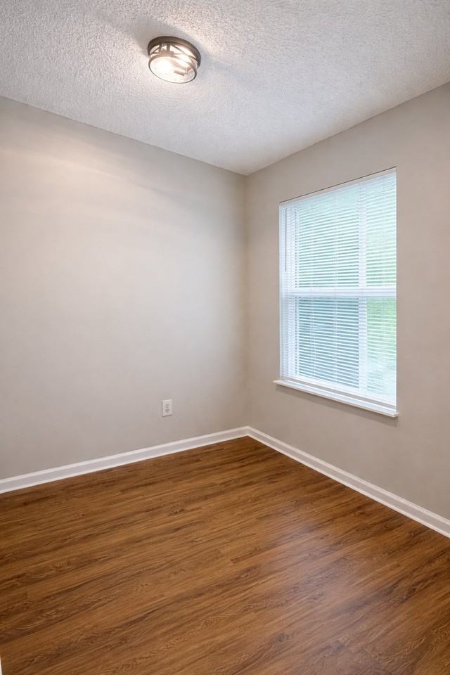 45192 Mickler St #1 - Photo 2 of 12